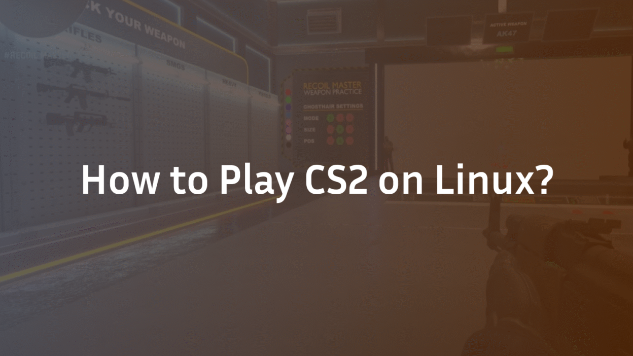 How to Play CS2 on Linux?
