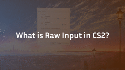cs2 raw input