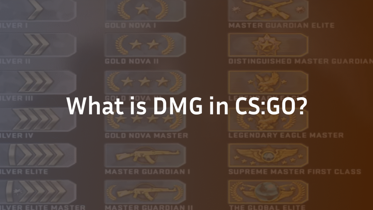 What is DMG in CS:GO?