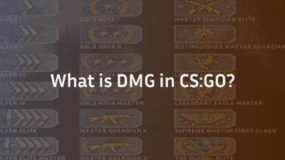 What is DMG in CS:GO?