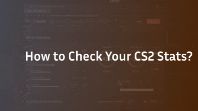 how to check cs2 stats