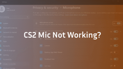 cs2 mic not working