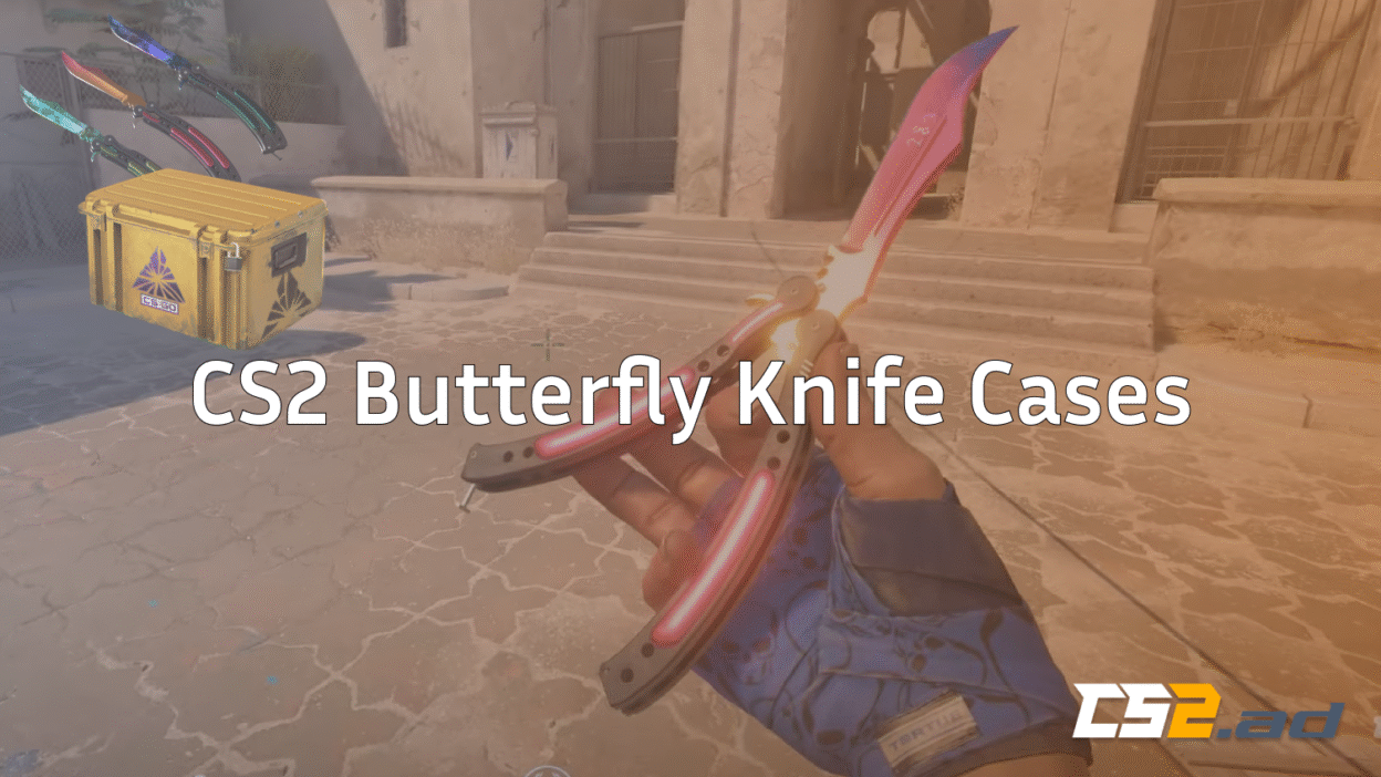 cs2 butterfly knife cases