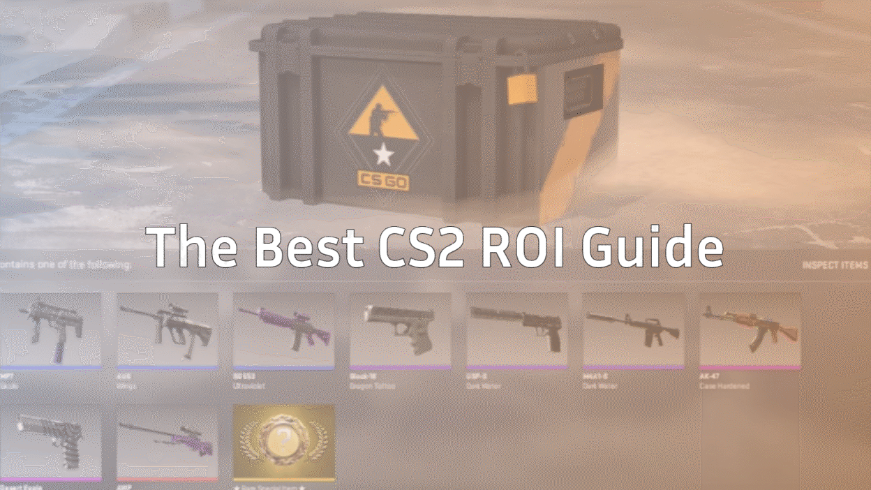 cs2-roi