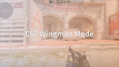 what-is-wingman-cs2