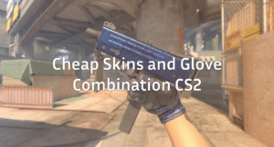Best Cheap Skins & Glove Combos in CS2
