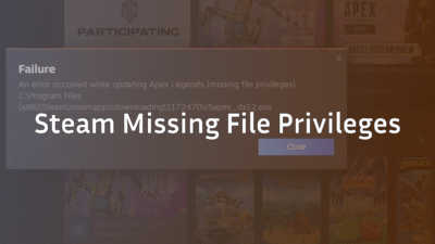 missing file privileges steam