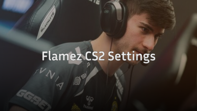 flamez cs2 settings