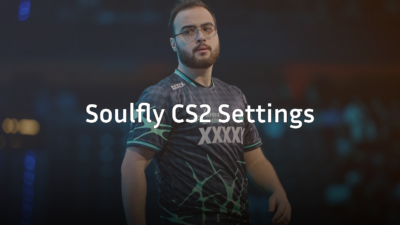 soulfly cs2 settings