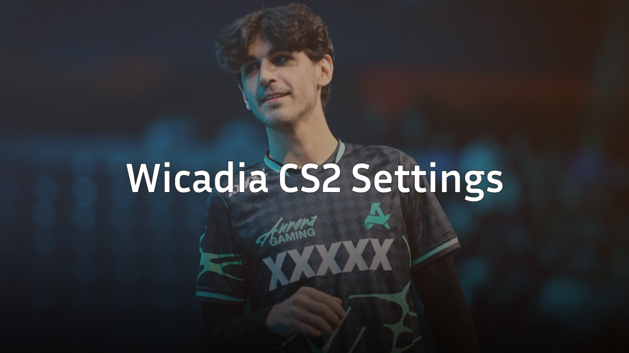 wicadia cs2 settings
