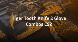 Best Tiger Tooth Knife and Glove Combos in CS2